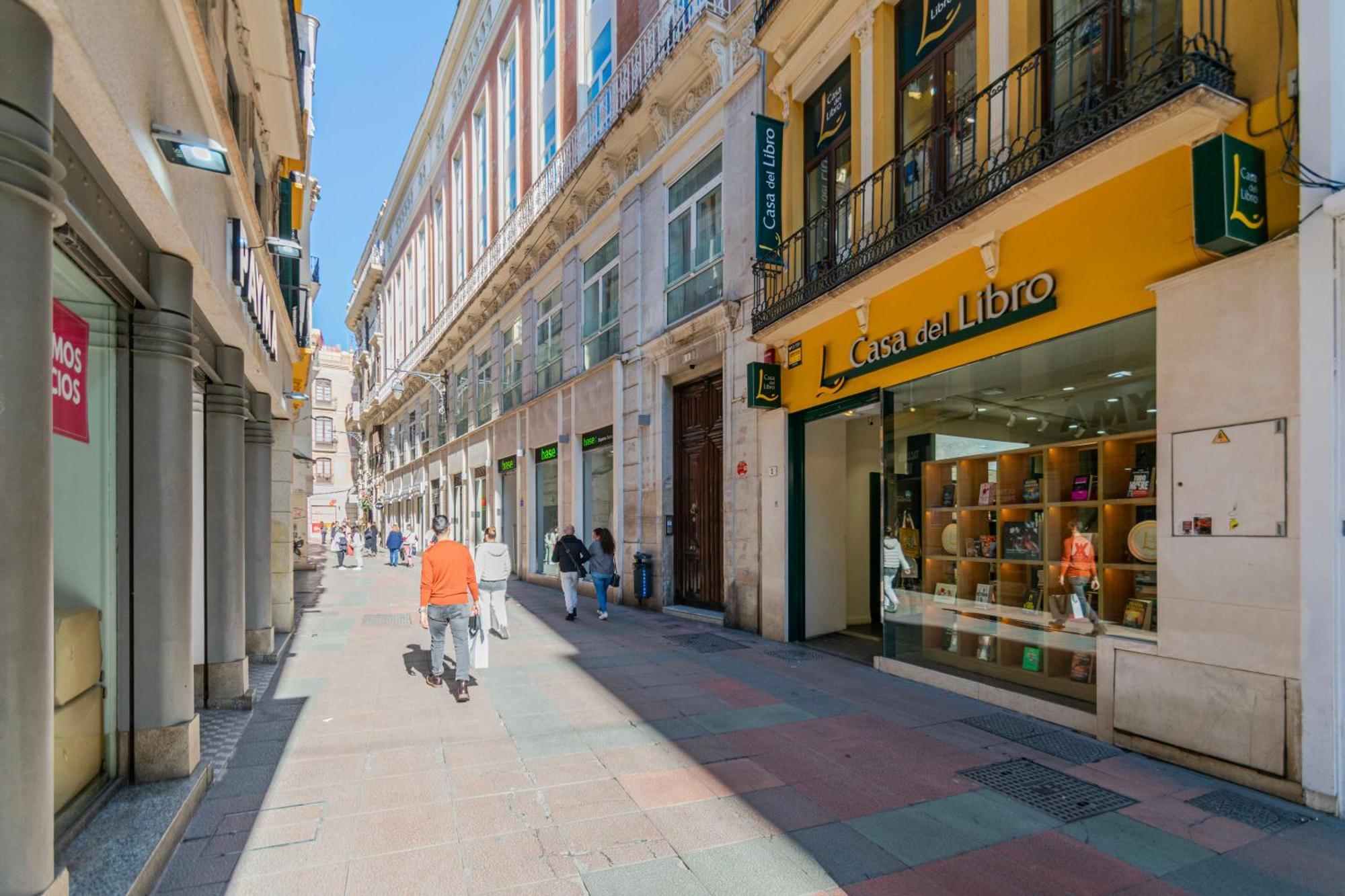 Apartament Inmalaga Luxury Loft 3